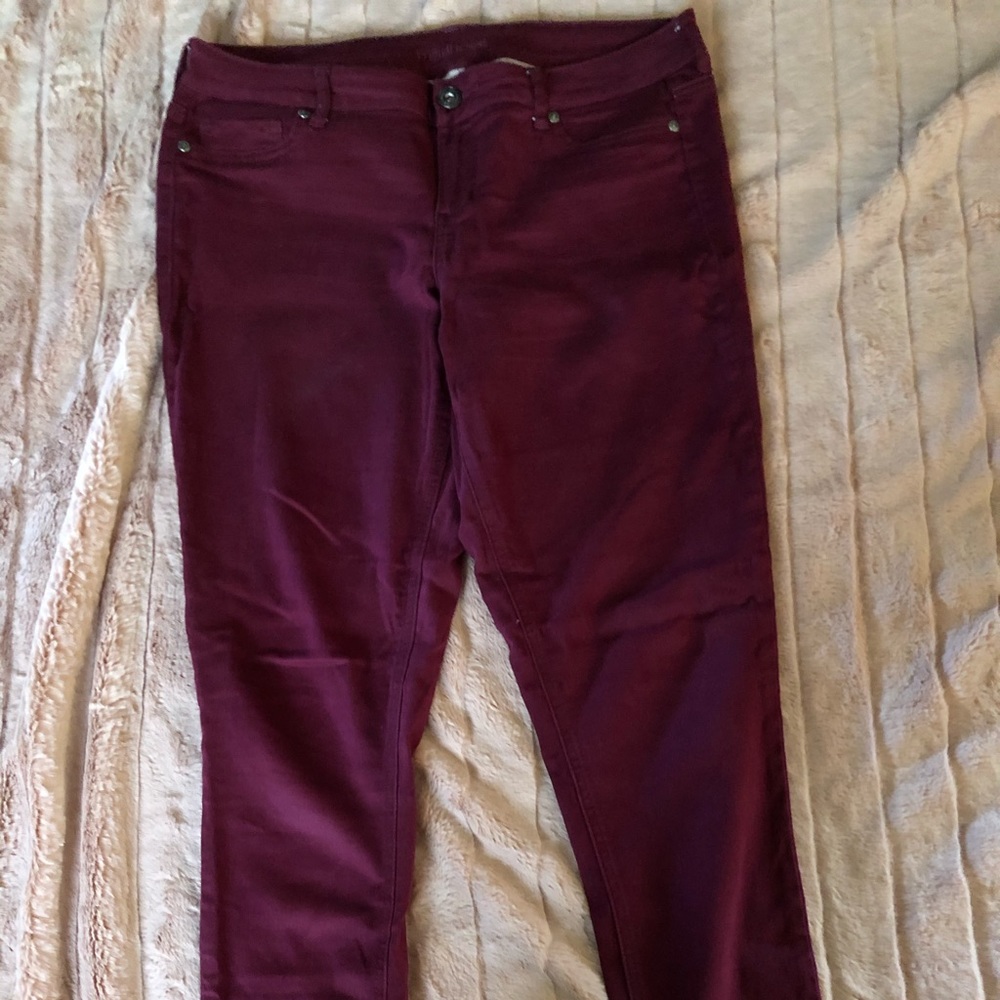 Maurices Jeggings
